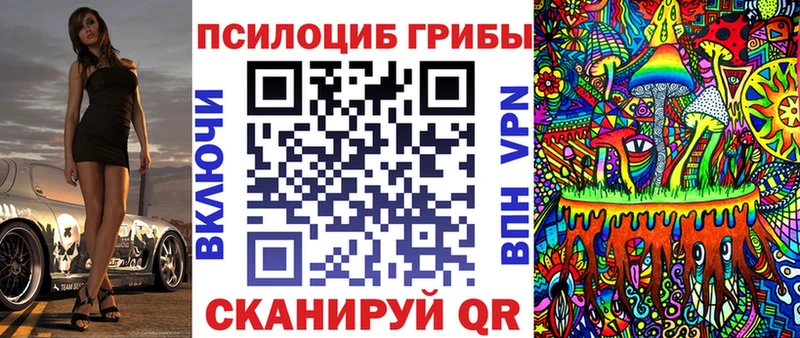 Псилоцибиновые грибы Psilocybe  Калач-на-Дону 
